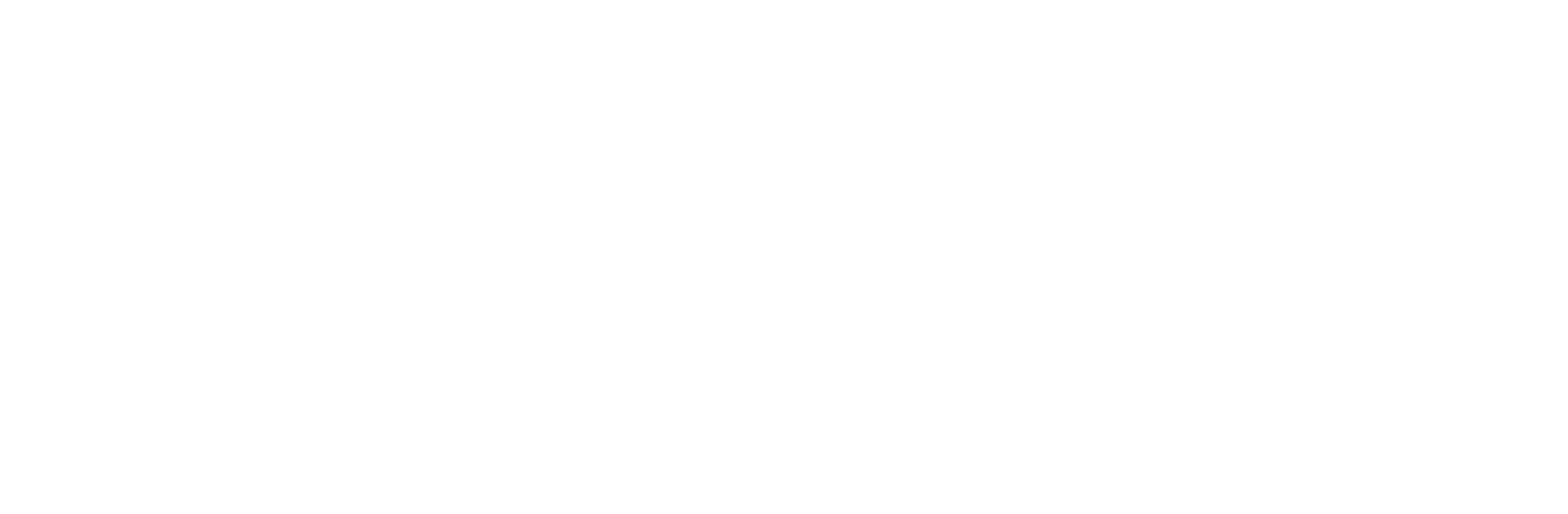 World Experience Organization Member
