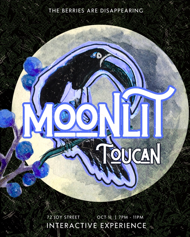 Moonlit Toucan
