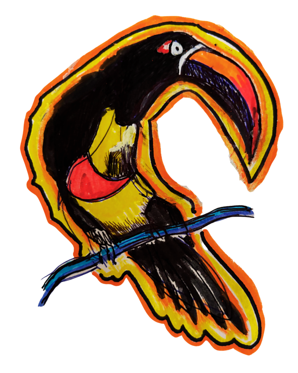 Moonlit Toucan